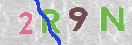 Immagine CAPTCHA