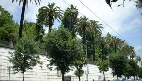 orto-botanico-di-napoli (2)