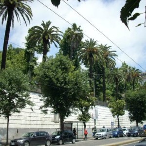 orto-botanico-di-napoli (2)