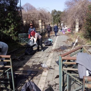 PARCOQQQ